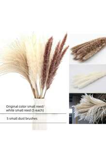 52枝蒲苇、小芦苇、兔尾草、尘土飞扬的小芦苇，家居装饰混搭，干燥花花束，适合庭院装饰，室内装饰（仅限干草）