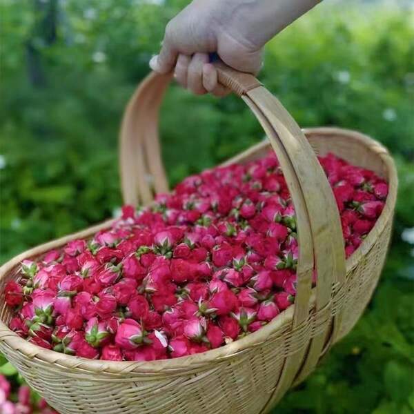 1pc 30g Gold Edged Rose Flower Crown, Natural Dried Flowers, Suitable For Indoor Tabletop Decor, DIY Candles, Soap, Wax Melts