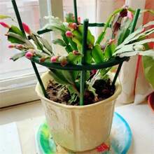 8-Piece Set, Plastic Plant Support Ring, Suitable For Greenhouse Gardens, Semi-Circular Fixed Pole, Suitable For Indoor Flowers And Climbing Plants, Flexible And Adjustable Bonsai Tool, Easy To Adjust Height