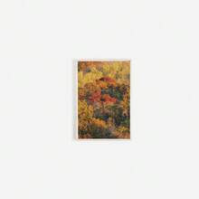 1/3PCS Colorful Autumn Foliage Print Set, Triptych Fall Photography, Bright Tree Tops Poster, Set Of 3 Prints, Rustic Home Decor, Fall Aesthetic