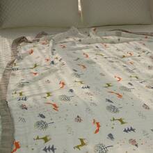 Bed Blankets & Towel Blankets