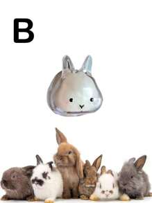 1 件可爱透明宠物兔毛纪念品胶囊，宠物毛发存储钥匙扣，带项圈设计的可爱兔子形纪念容器，密封宠物兔毛存储 DIY 纪念吊坠，送给兔子爱好者和宠物损失同情的礼物，记住心爱宠物的理想选择，宠物配饰，独特的个性化宠物配饰