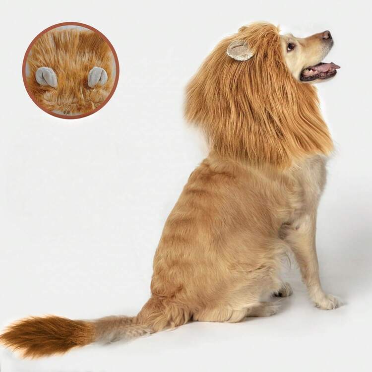 1 件跨境宠物狮子鬃毛假发，逼真的狮子头服装，狗/猫万圣节服装礼物 - 彩色 - 查看 2