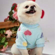 秋冬新款宠物狗猫衣服，奶油色贵宾犬泰迪比熊犬小型犬牵引绳羊毛连帽衫 - 藍色 - 查看 4