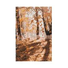 1/3 buc Set de imprimeuri Toamna în pădure, poster cu dovleci, peisaj montan și lac de toamnă, set de 3 imprimeuri, decor rustic natural, fotografie de toamnă 3 - Multicolor - Vizualizare 34