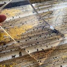 1片A4/A5尺寸可重复使用凝胶艺术印刷垫/硅胶印刷垫,易于清洁,低致敏性 - 非常适合制作名片、剪贴簿、日记本 - 色彩鲜艳的设计,手工印刷垫/生动的印刷图案,可重复使用的印刷垫工艺用品,适用于剪贴簿、家具装饰和艺术印刷。是创意爱好者的必备之选。 - 彩色 - 查看 6