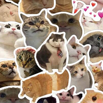 50 miếng dán sáng tạo hình mèo ngộ nghĩnh trang trí hàng ngày cho máy tính xách tay, hành lý, tủ lạnh, sổ ghi chú, sổ lưu niệm, máy tính để bàn, trang trí phòng, miếng dán sáng tạo tự làm có thể dùng làm quà tặng ngày lễ cho một người bạn tốt