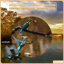 Binoculars - 綠色的 - 查看 4