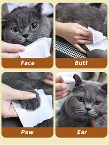 80pcs/Pack Non-Woven Pet Cleaning Wet Wipes, Outdoor Pet Supplies, Cat & Dog Wet Wipes, EDI Pure Water No Alcohol Disposable No-Rinse Cleaning Wet Wipes