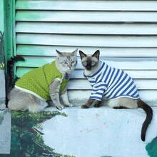 1 件条纹弹性柔软宠物毛衣，适合春、夏、秋、冬，适合中小型犬，有灰色、绿色、蓝色可选