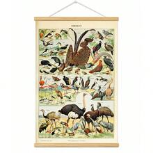 BAEMEFLE Vintage Butterfly & Insect Illustrations - Framed Canvas Art For Home And Office Decor, Perfect For Bedroom And Living Room Walls - Multicolor - View 12