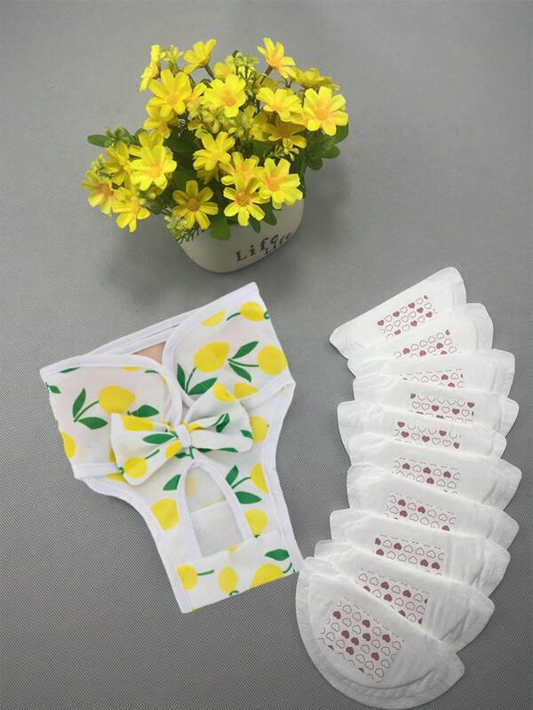 Dog Physiological Pants For Menstrual Period Underwear Special Pants For Female Pet Dogs Washable Dog Diapers With 10 Pcs Period Pad