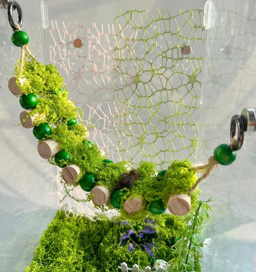 Jumping Spider Rope Bridge,A Solid Wood Climbing Suspension Bridge ...