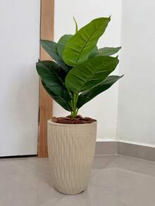 Artificial Ficus Lyrata With Wavy Cone Pot Home Garden - Beige - View 2