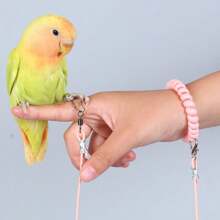 1pc Elastic Bird Leash, Parrot Flying Rope, Release Rope, Extension Leash With Wrist Strap, Lightweight & Non-Harmful, Pet Parrot Flying Combo Set (Excluding Leg Ring)