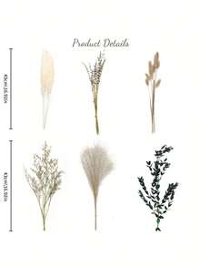 40 Pieces Bohemian Reed, Eucalyptus Whisk Rabbit Tail Grass, Simulated Plant Reed Dried Flower Bouquet, Home Decoration, Bedroom Decoration, Party Decoration, Birthday Candlelight Dinner.