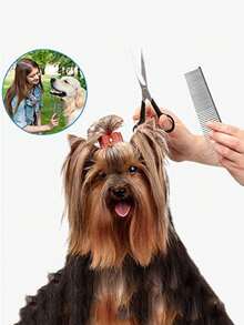 1 Piece Stainless Steel Pet Comb, Cat And Dog Hair Comb, Double-Sided Straight Comb Steel Comb, Suitable For All Types Of Long And Short Hair