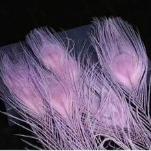 10pcs Natural Peacock Feathers Green Big Eyes Trimmed Peacock Feathers For DIY Crafts Arts Carnival Masquerade Mask Christmas Hair Accessories Wedding Holiday Party Costume Decoration