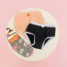 Kit Duas Calcinhas Um Par de Meias Infantil Feminina Casual