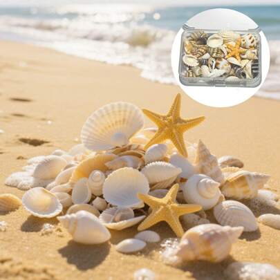 Boxed Natural Shell And Conch Mixed Style Perforated Cover Box DIY Handmade Material Fish Tank Decoration