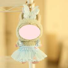 1 件适合 17 厘米娃娃的连衣裙，裙子服装