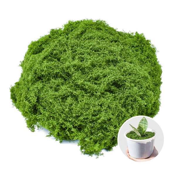 Fake Green Moss For Potted Plants Indoor, Artificial Moss For Crafts, Faux Moss Decor For Fairy Garden, DIY Decorative, Model Making, Walls, Glass Containers, Home