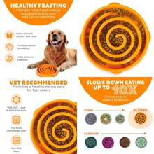 Fun Feeder Slo Bowl Large Slow Feeder Dog Bowl 4 Cups Orange