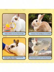 Brinquedo de Alívio de Tédio para Coelho, Brinquedo de Mastigação para Coelho, Brinquedo de Argola, Brinquedo de Quebra-cabeça para Coelho, Balde de Gelo Respirável para Porquinho-da-índia, Acompanha 5 Argolas de Cores Aleatórias - Multicolorido - Visão 2
