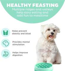 Outward Hound Fun Feeder Slo Bowl, Slow Feeder Dog Bowl, Medium/, Turquoise - Mint - 查看 4