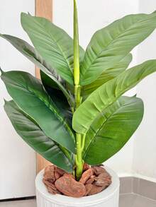 Artificial Ficus Lyrata With Wavy Cone Pot Home Garden - White - View 4
