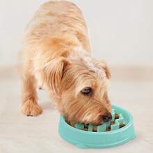Outward Hound Fun Feeder Slo Bowl, Slow Feeder Dog Bowl, Medium/, Turquoise - Mint - 查看 9