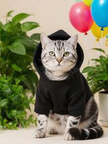 一件黑色宠物卫衣，秋冬季保暖内衬宠物服装，适合贵宾犬、比熊犬、小型犬、猫、英国短毛猫等，防止掉毛 - 黑色 - 查看 3