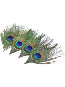 10pcs Natural Peacock Feathers Green Big Eyes Trimmed Peacock Feathers For DIY Crafts Arts Carnival Masquerade Mask Christmas Hair Accessories Wedding Holiday Party Costume Decoration