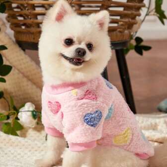 Nuovi vestiti per cani e gatti per autunno/inverno, imbracatura e gilet per cani di piccola taglia come barboncino, barboncino toy e bichon frisé di colore crema