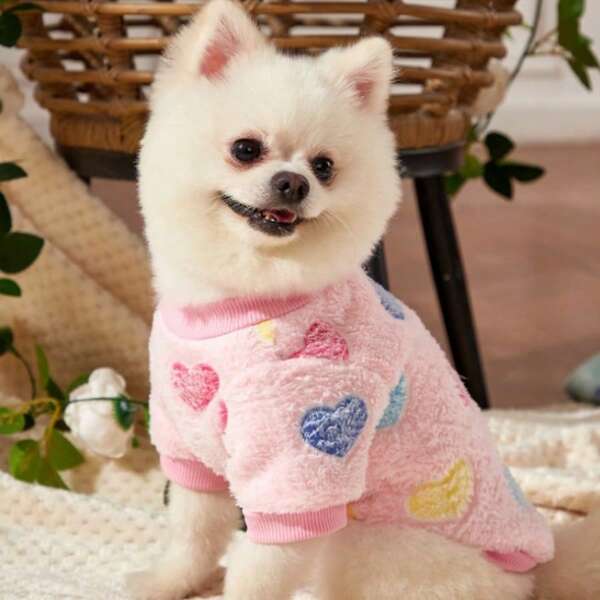 Ropa nueva de otoño/invierno para mascotas perros y gatos, arnés y chaleco para perros pequeños como el caniche crema y el bichón frisé