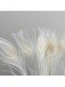 10pcs Natural Peacock Feathers Green Big Eyes Trimmed Peacock Feathers For DIY Crafts Arts Carnival Masquerade Mask Christmas Hair Accessories Wedding Holiday Party Costume Decoration