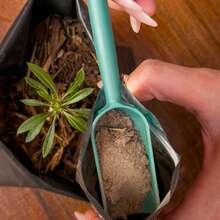 Fortalecedor de Raíz Neorganic Root Negro Tratamiento Capilar Natural para Control de Caída Reforzador Crecimiento Saludable - Negro - Ver 4