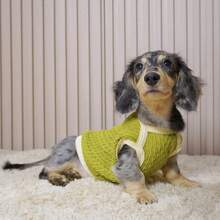 1 件轻便透气有弹性的宠物背心，适合中小型犬，春夏季