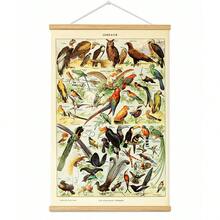 BAEMEFLE Vintage Butterfly & Insect Illustrations - Framed Canvas Art For Home And Office Decor, Perfect For Bedroom And Living Room Walls - Multicolor - View 11