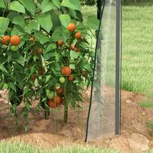 Outsunny Agricultural Greenhouses - White - View 9