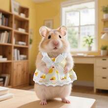 1 Pc Hamster Lovely Princess Dress Dutch Pig Clothes Fashion Dresses Mini Lace Skirt For Small Pets Outdoor Lovely Dress Decoration - Multicolor - View 3