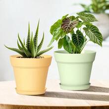 4 Inch Plastic Plant Pots With Drainage Holes And Trays 8 Pack Small Nursery Pots For Indoor Outdoor House Plants And Flowers Seedling Starter Planters Colorful