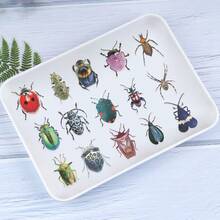 50 件昆虫贴纸 透明贴纸 动物贴纸 趣味贴纸 爬行动物贴纸 3D 贴纸 怪异贴纸 适用于笔记本电脑 滑板 日记本 手机 杯子 吉他 行李箱 电脑 冰箱 桌子 - 彩色 - 查看 4