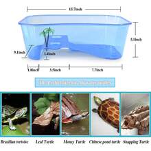 Terrarium Accessories