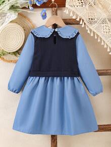 Young Girls' Preppy Style Embroidered Peter Pan Collar 2 In 1 Long Sleeve Patchwork Dress