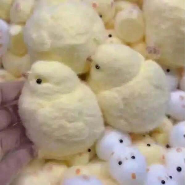 Cute Chick Squeeze Toy – Funny Stress Relief Toy For Office Use