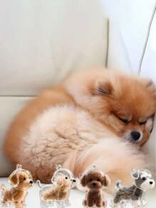 1pc/4pcsTransparent Pet Hair Storage Container Made Of Plastic(Dear Valued Customers, Please Carefully Review The Product Videos And The Actual Photos Of The Details Before Making Your Purchase Decision.),(The 4-Piece Set Includes Forceps.), Capsule Design Portable Keychain Suessential For Pet Owners Year-Round,Dog Hair Collection Keychain , Pet Fur Key Holder Transparent Bottle, Portable Memory Capsule For Pet Hair Keepsake