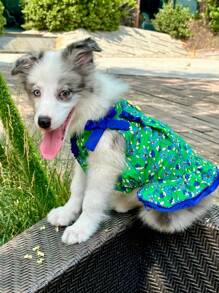 新款宠物服装，狗狗衬衫，马耳他泰迪背心，碎花蝴蝶结领口连衣裙