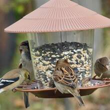 1pc Outdoor Bird Feeder Lantern Bird Feeder Bird Dispenser Waterproof Hanging Bird Feeder For House Garden