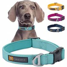 舒适的内衬狗项圈，同品牌设计，适合中大型宠物 - 彩色 - 查看 1